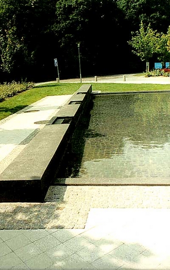 spejlbassin_med_overloebs_effekt